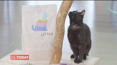 Make cat care easier