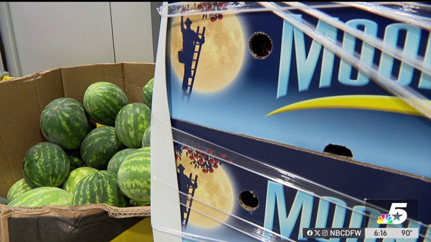 North Texas nonprofit's fundraiser to fight hunger hits all the right notes