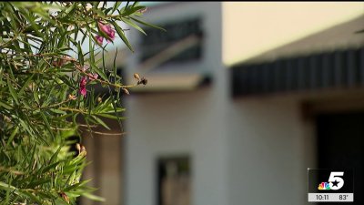 Federal employee charged with attempted capital murder after officials say he put pills into girlfriend's drink
