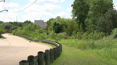 WNBA Wings practice facility, soccer fields coming soon