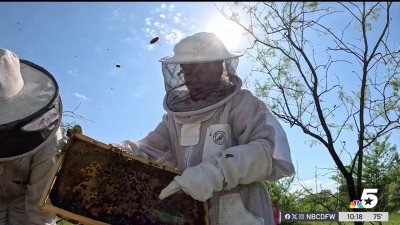 Texas a leader in beekeeping