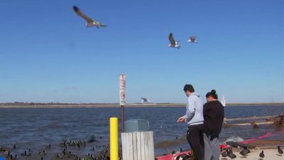 World Cup Community Event: Lake Arlington cleanup