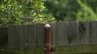 Deadly dog attack in Fort Worth