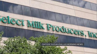 Fairlife milk and Dallas-based supplier again accused of fraud, animal cruelty