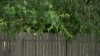 Tarrant County man dies in dog attack