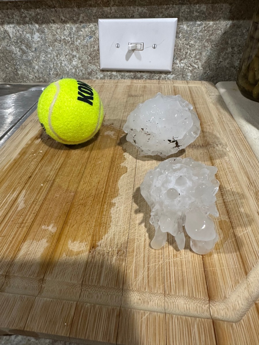 Forest Hill hail (June 1, 2025)