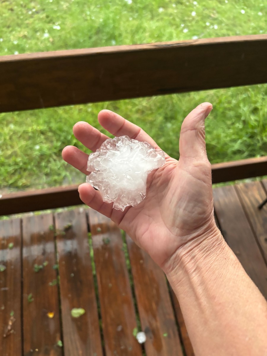 Hail that fell at 7:50pm 6/1/25 in Millsap, Texas.