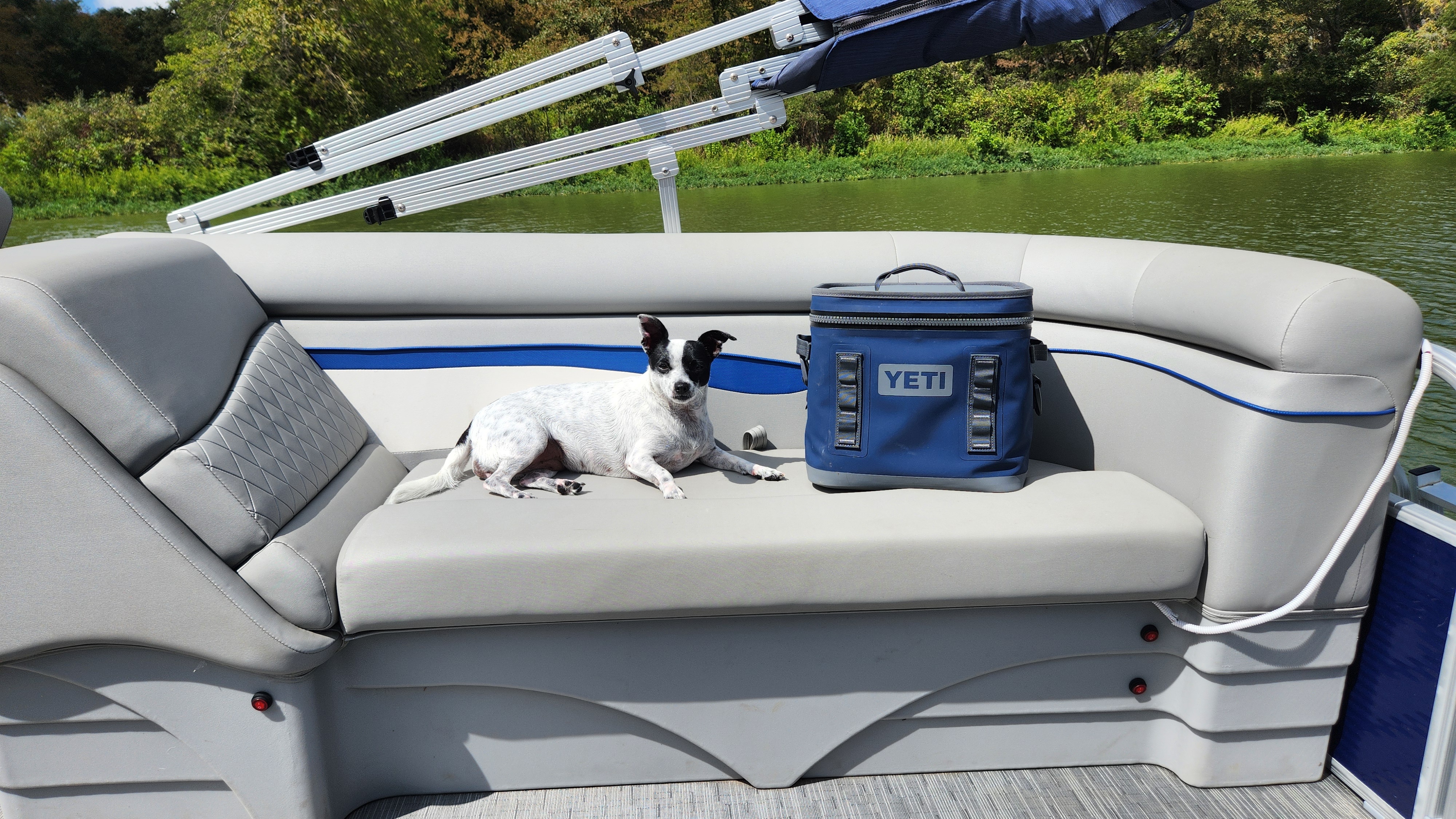 This is Pepper the pontoon princess; Mansfield TX