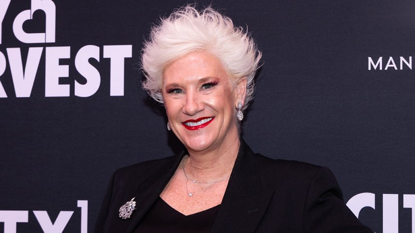 File - Anne Burrell at Cipriani 42nd Street on April 22, 2025, in New York, New York.
