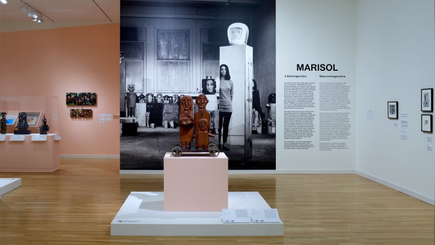 Dallas Museum of Art Marisol exhibition entry 2025