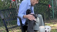 Puppies play with a resident at Parsons House Preston Hollow Assisted Living and Memory Care facility.