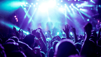 adobe stock concert crowd