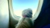 The happy ending: Wings of Rescue gives Texas pets new homes