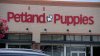 Masked man caught on camera stealing puppy from North Texas pet store