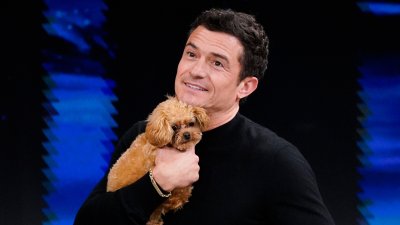 Orlando Bloom shows off his puppy Biggie Smalls, shares his terrifying skydiving experience