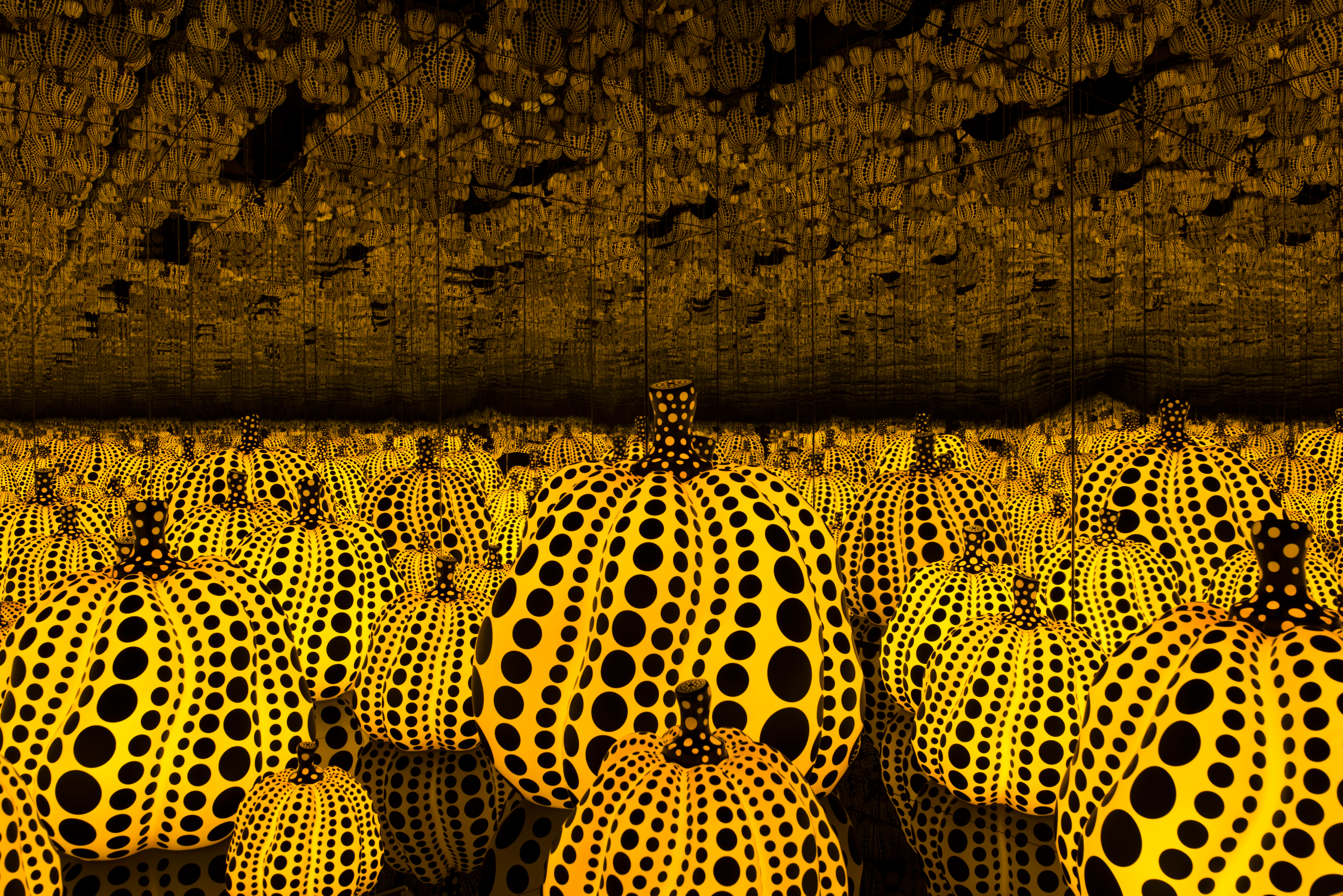 New DMA art installation gives you fall in summertime – NBC 5