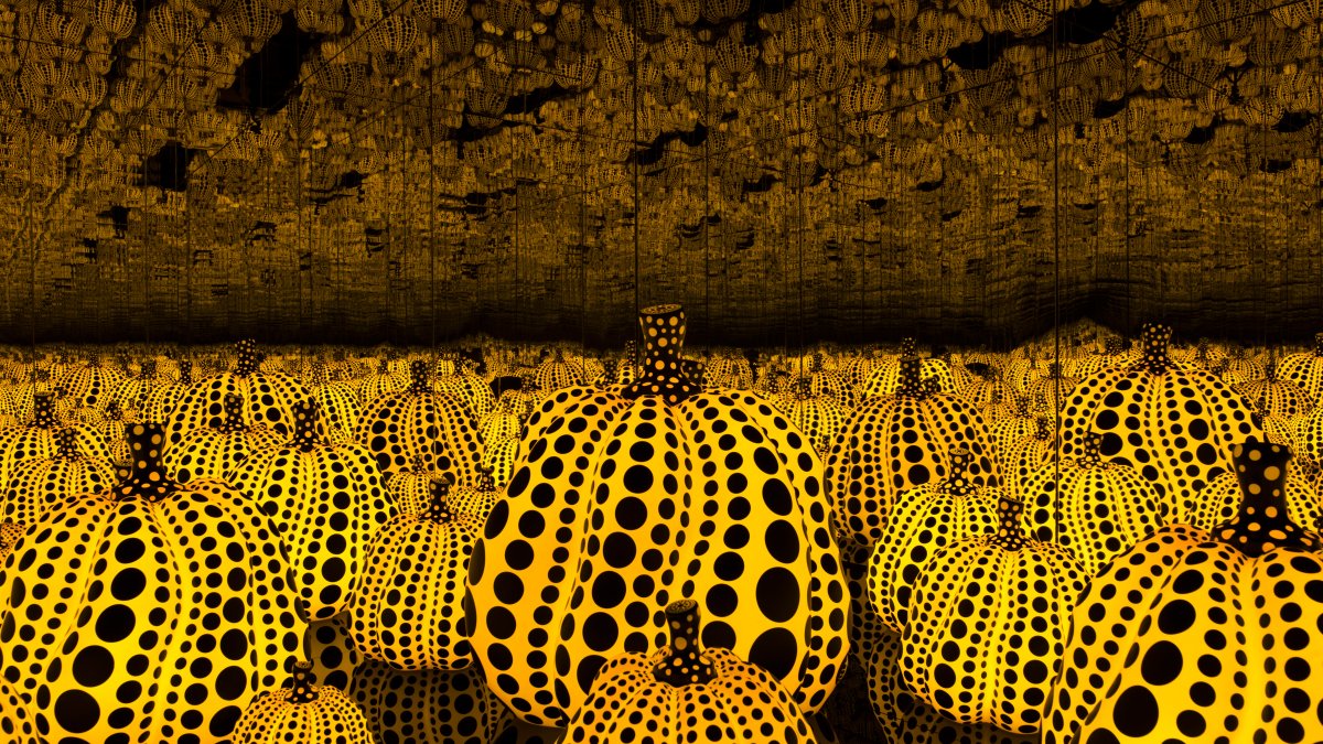 Fall in the summer: Get lost in a field of pumpkins at the Dallas Museum of Art
