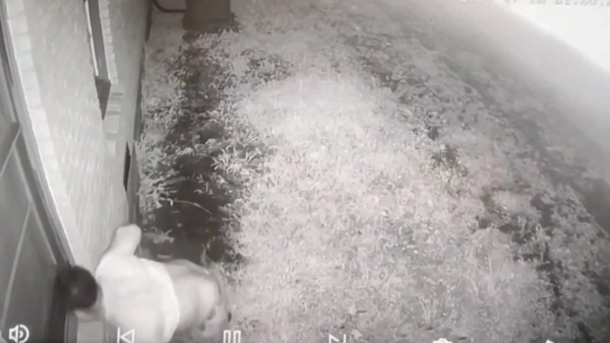 East Plano mom goes to great lengths to identify alleged Peeping Tom