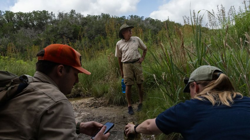 Texas Parks and Wildlife Department Natural Resources Coordinator Andy Sipocz, center, stands as Nick Boysen, left, and Kaitlyn Skinner Morris examine remains possibly belonging to a feral hog near Yancey Creek in what will become Post Oak Ridge State Park on newly acquired land near Lampasas on June 5, 2025.