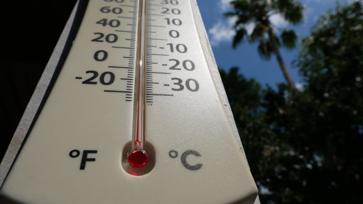 Brewing Locally Image