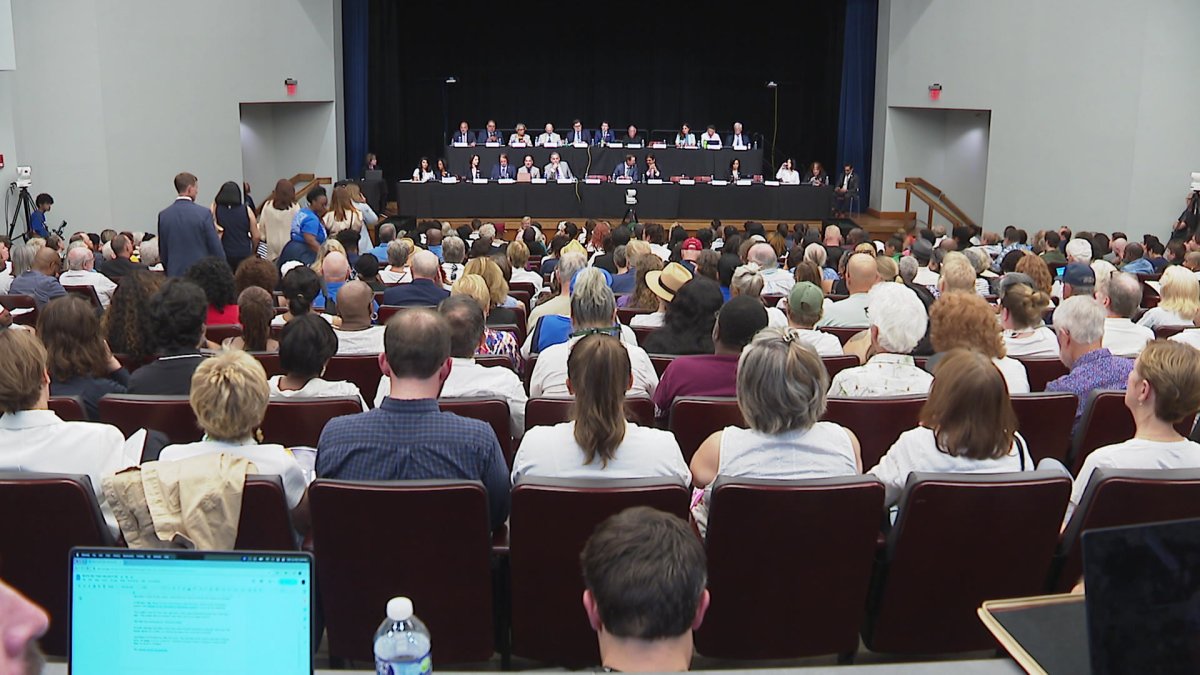 Hundreds show up for public hearing on Texas's plan to redraw Congressional maps