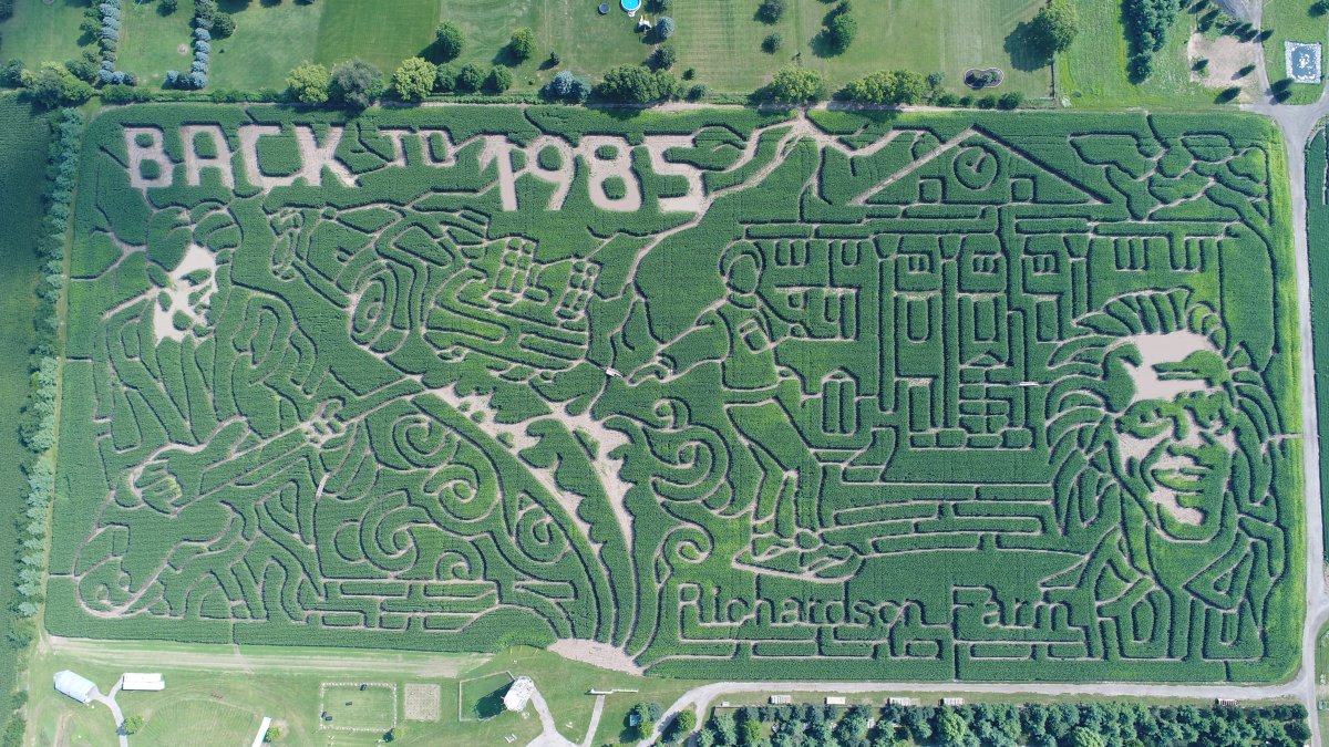 Chicago farm goes ‘Back to the Future' with 2025 corn maze design