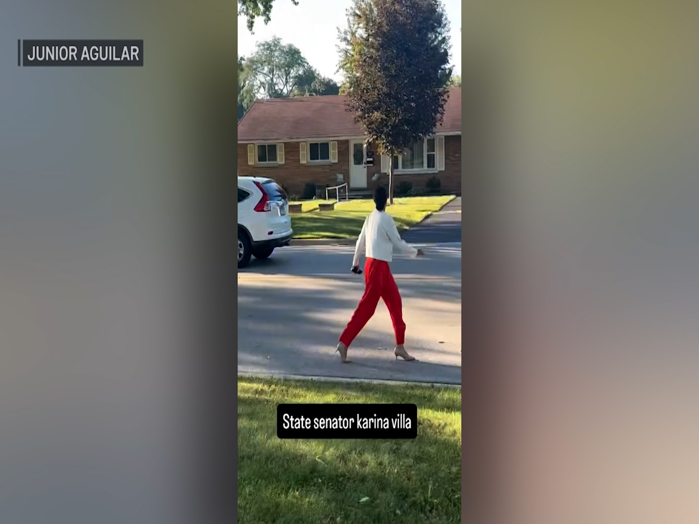 Watch video of Illinois senator as she warns residents of masked agents on suburban street