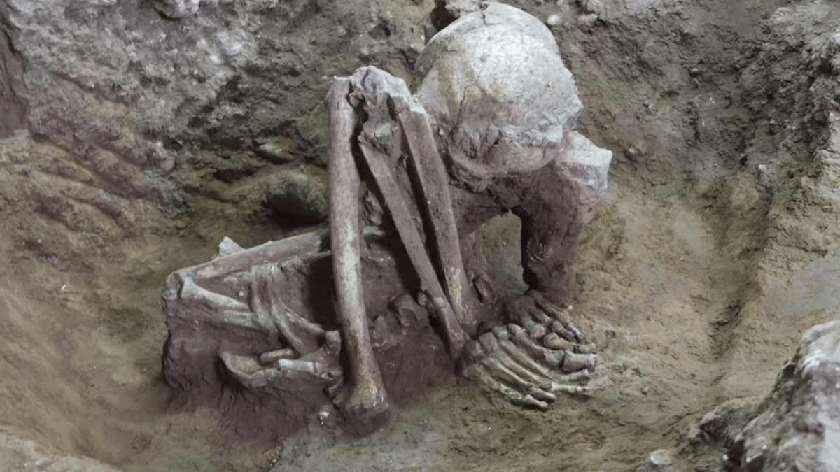 First Mummy Scientists say they’ve found the world’s oldest mummies – NBC 5 Dallas ...