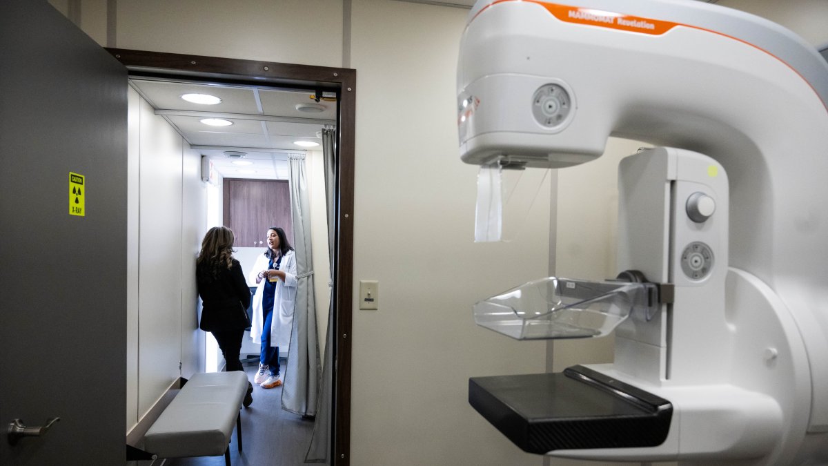 Everything you need to know about genetic testing for breast cancer: A guide