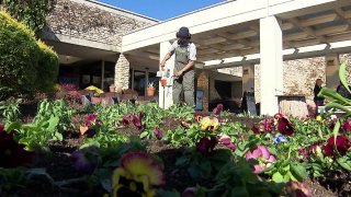 Image of a gardener watering flowers at the Fort Worth Botanical Gardens.