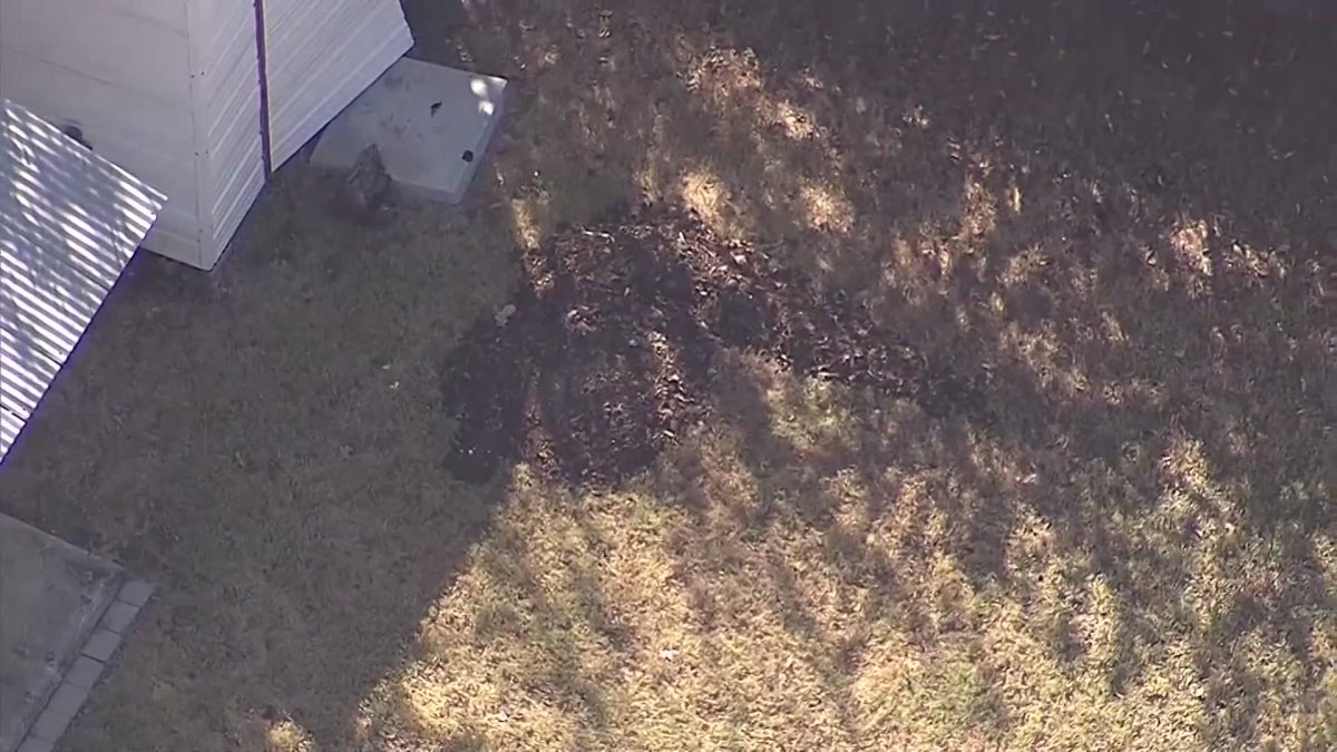 Police say a North Texas couple buried their 26-year-old special needs son in the backyard. His body was found days after a welfare check was requested.