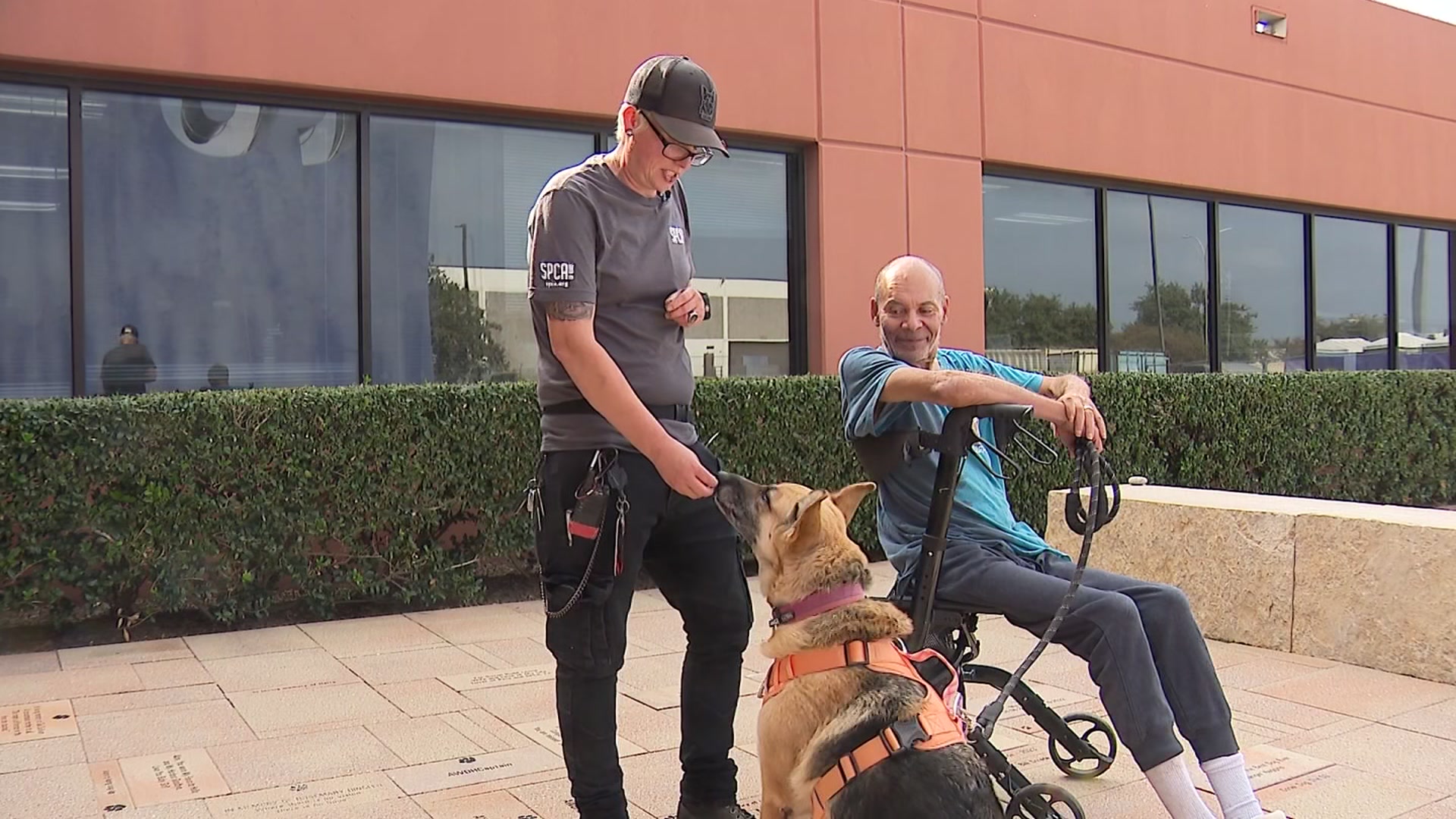 Parkland Hospital, SPCA partner to care for patients and pets