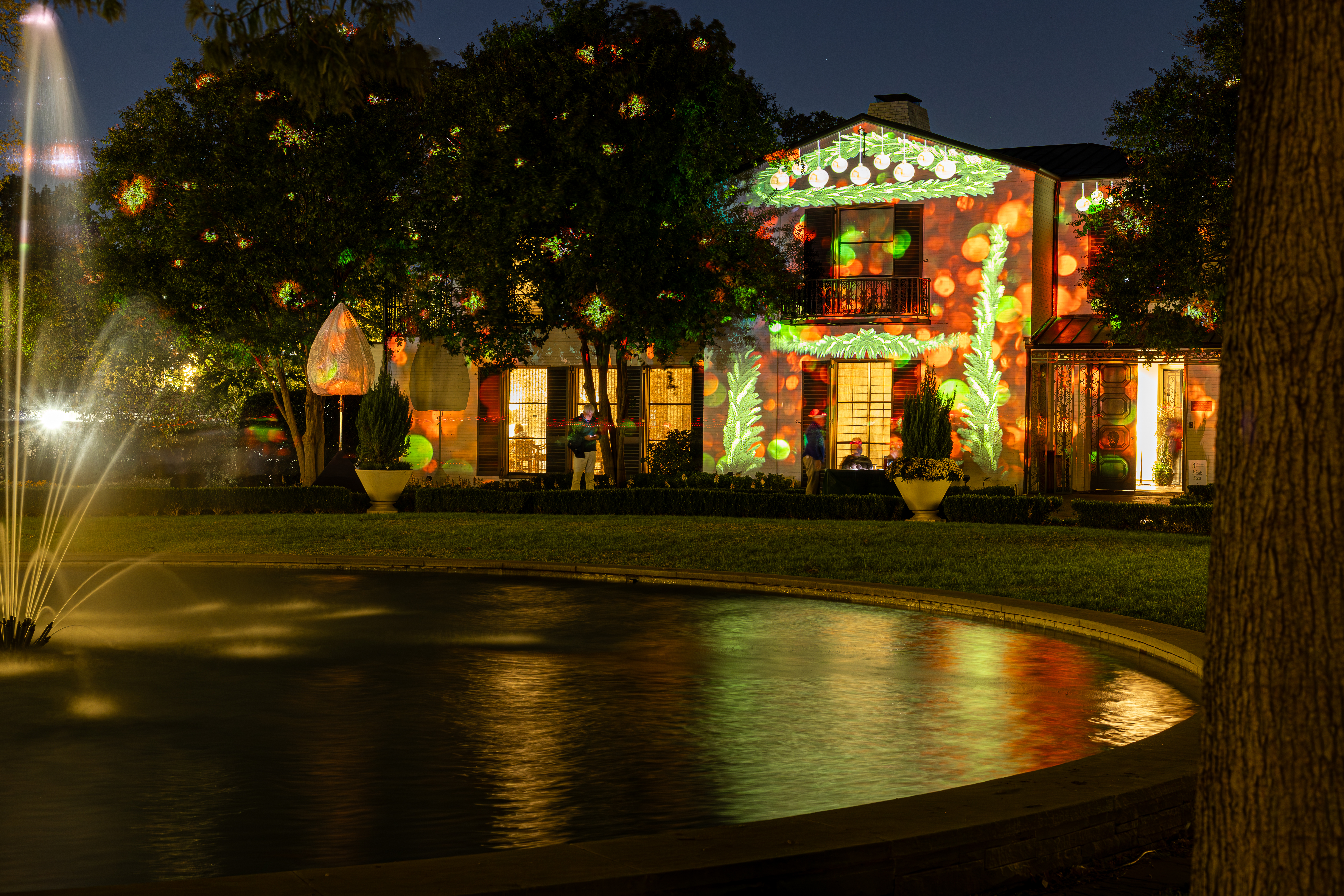 Dallas Arboretum seasonal evening light installations photo 1