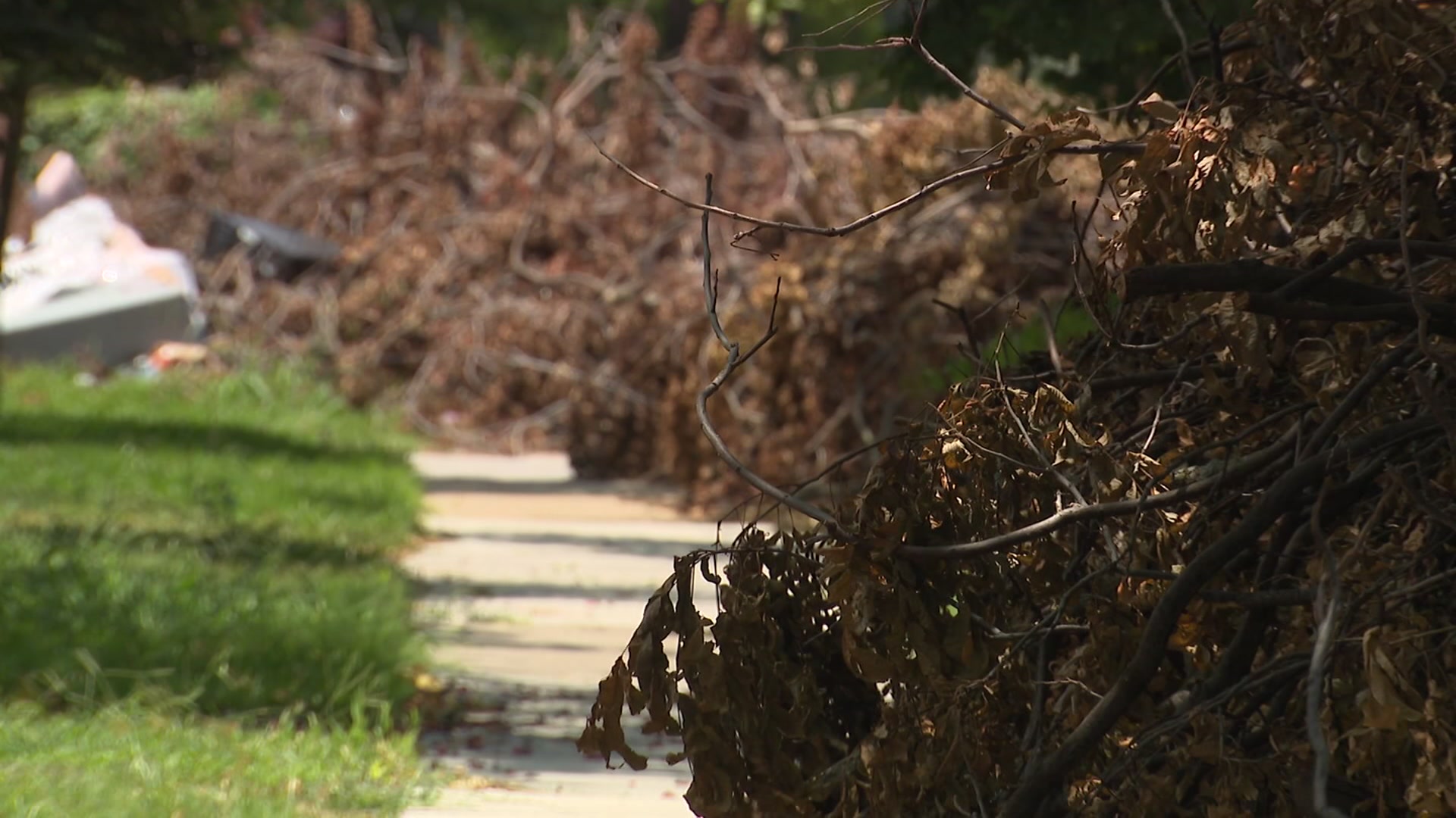 AI enabled cameras on trash trucks will help Dallas detect code violations