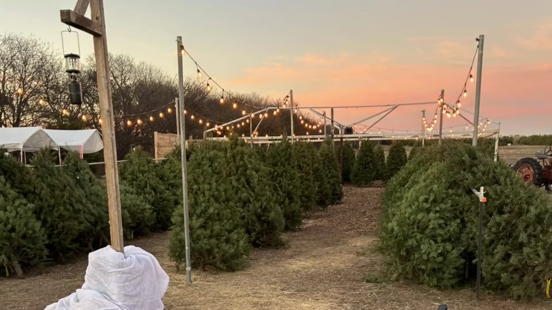 North Texas man gives away 120 Christmas trees after slow sales