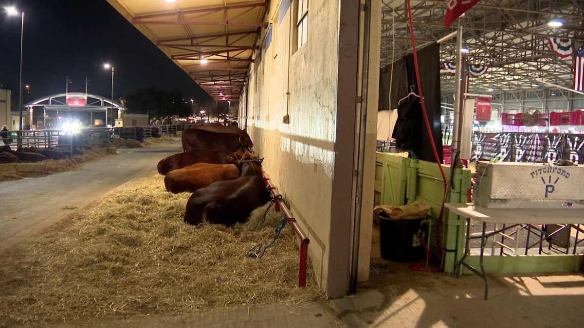Fort Worth Stock Show and Rodeo prepares for winter blast