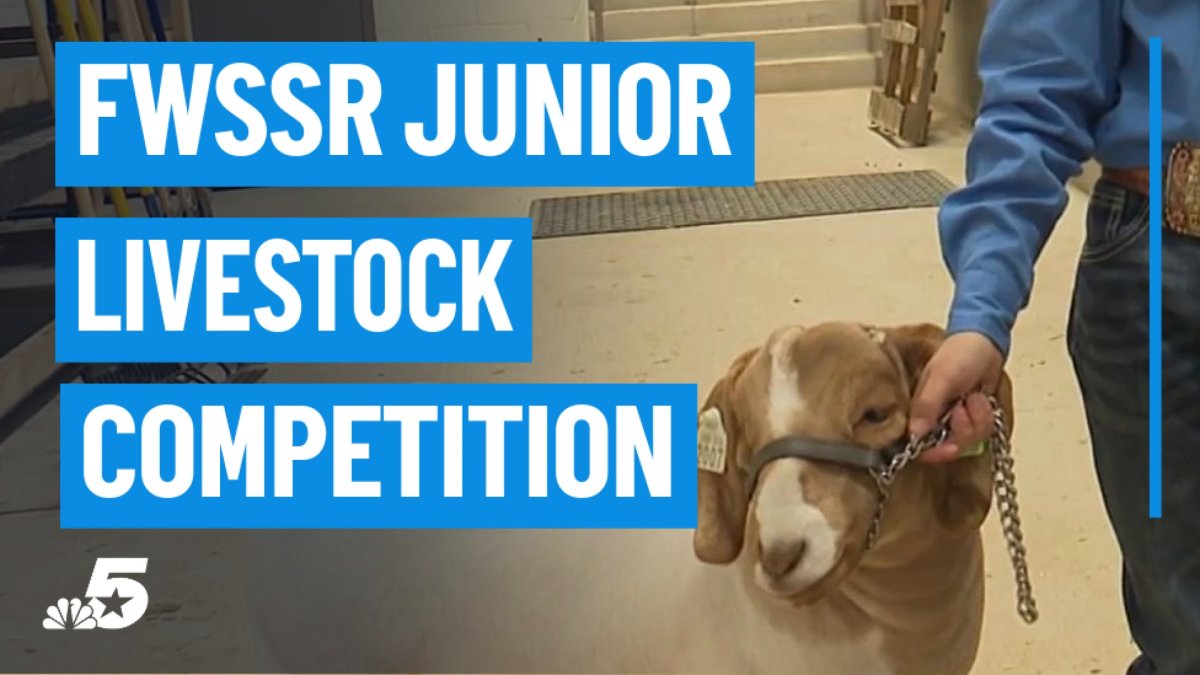 Fort Worth Stock Show and Rodeo junior livestock competition takes center stage