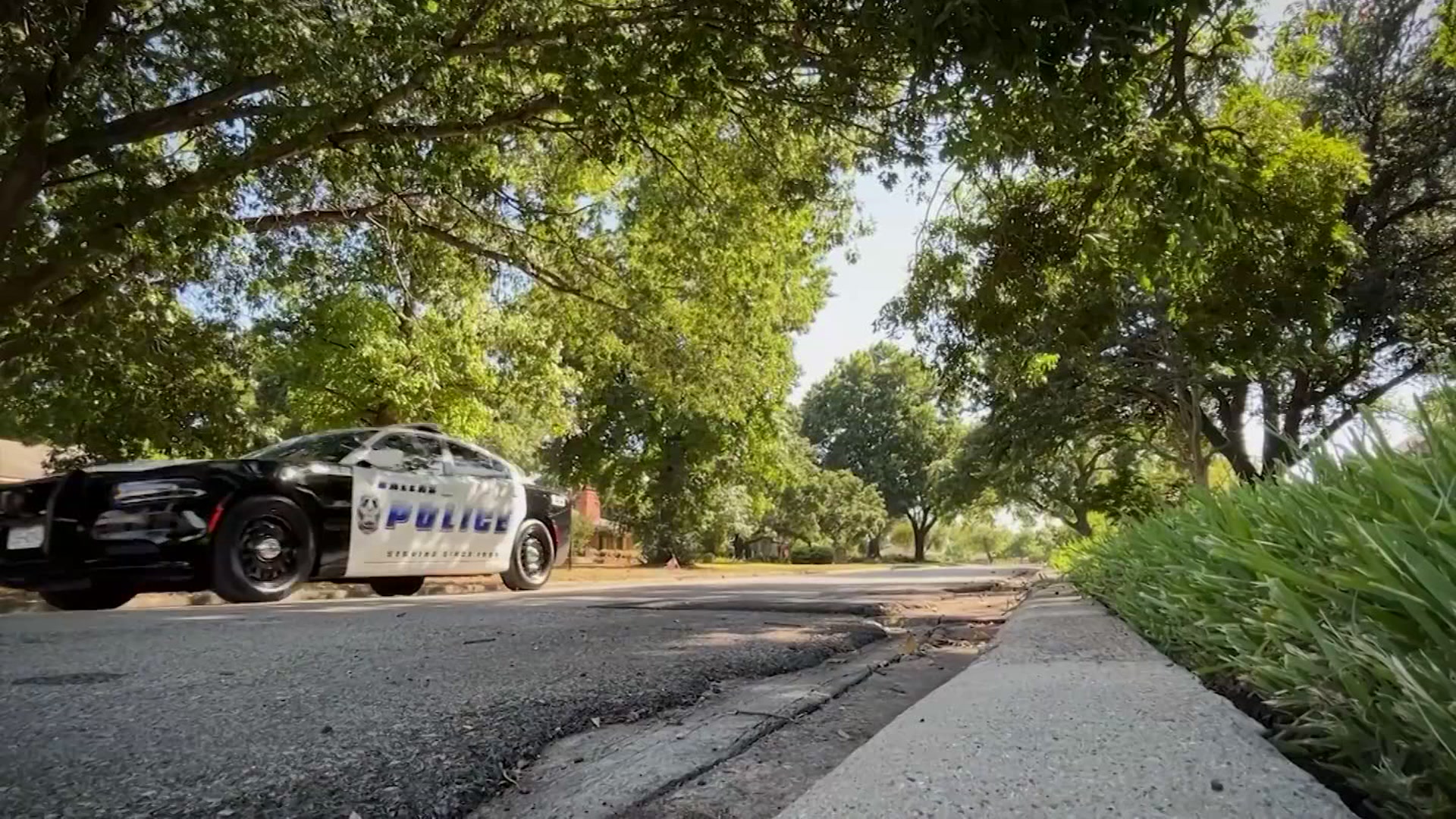 DPD tasked to come up with more solutions for random gunfire