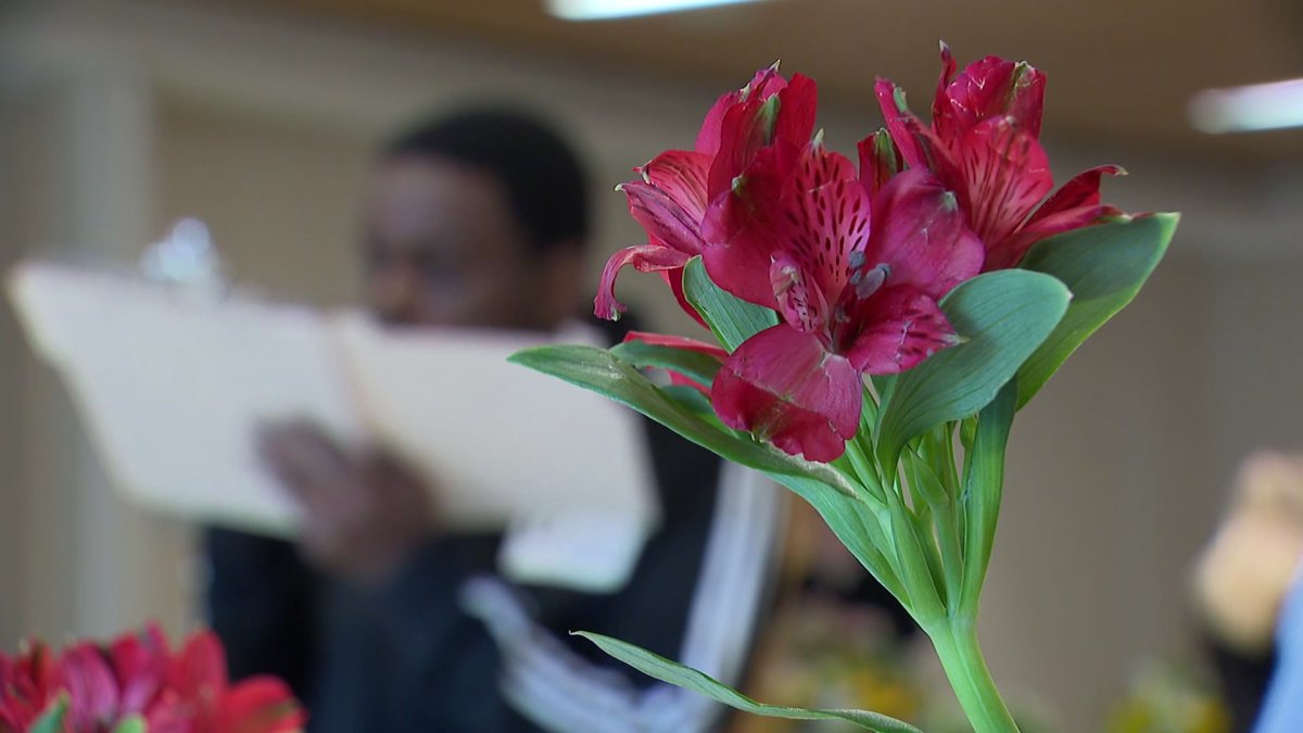 Fort Worth Stock Show & Rodeo Floriculture Contest puts student on career path