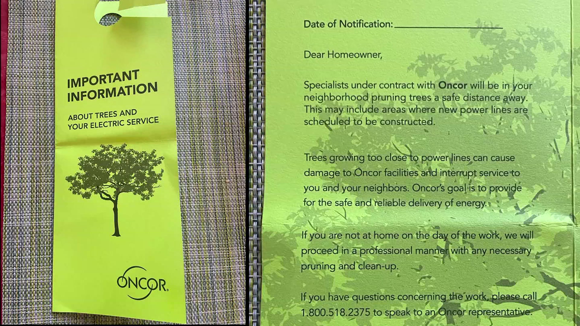 Celina neighbors clash with Oncor over red oak pruning, removal