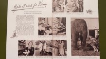 Women at Disney during World War II Dallas Holocaust and Human Rights Museum