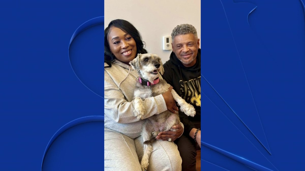 New Jersey police reunite lost dog with North Texas owners