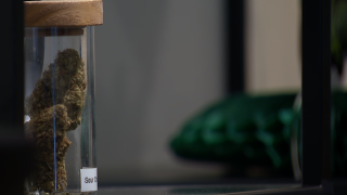 New regulation by the Texas Department of State Health Services  will ban hemp that is smoked in the state. (KXAS photos/KXAS photos).