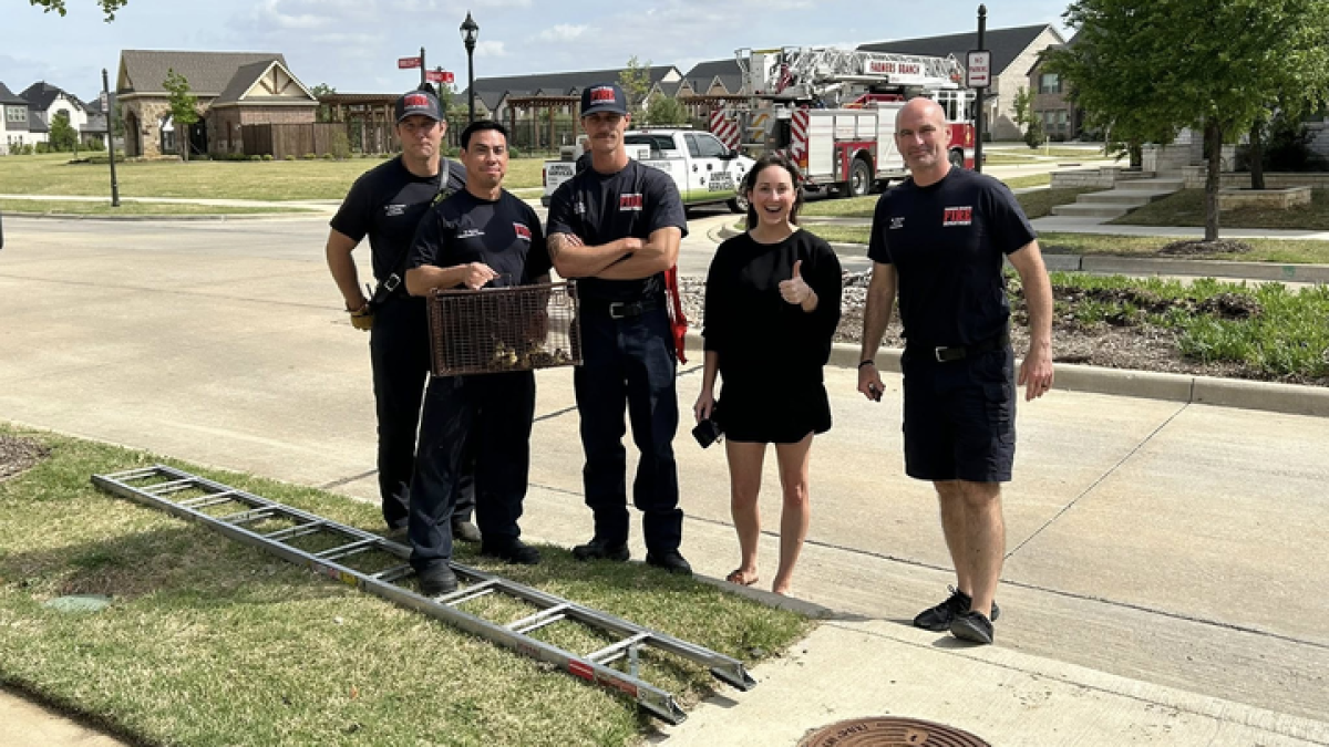 Some lucky ducks: firefighters save trapped ducklings
