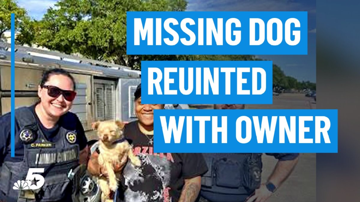 Dog reunited with owner after being missing for 4 years – NBC 5 Dallas ...