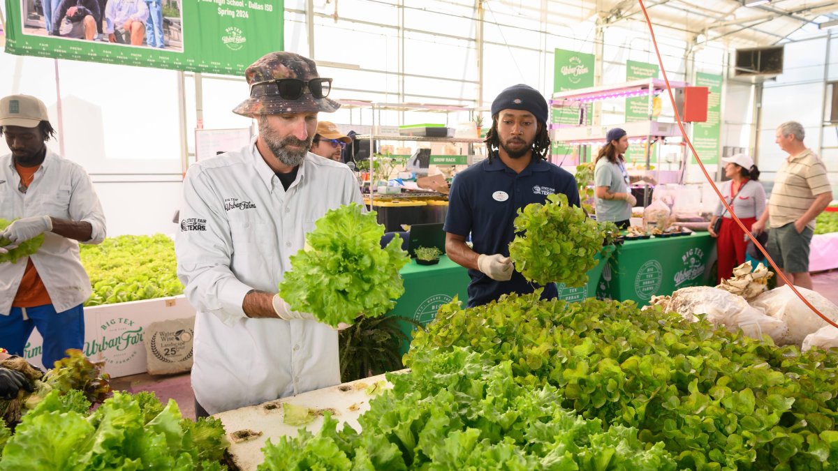 Big Tex Urban Farms celebrates 10 years