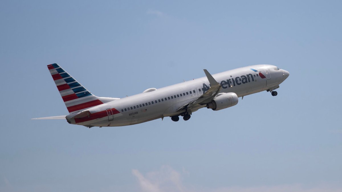 American Airlines flights temporarily halted nationwide due to massive IT outage