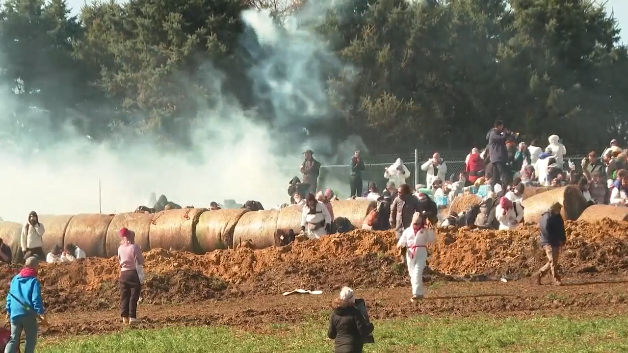 Wisconsin authorities put total arrests from clashes at beagle breeding facility at about 25