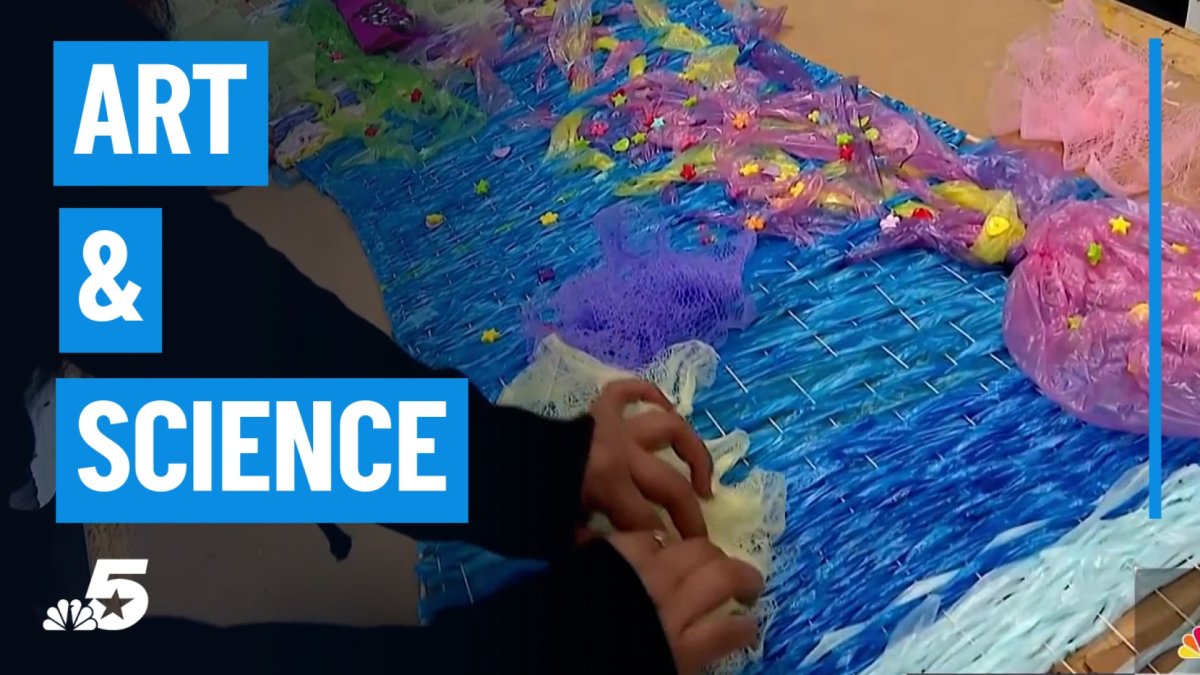 Students combine art and environmental science