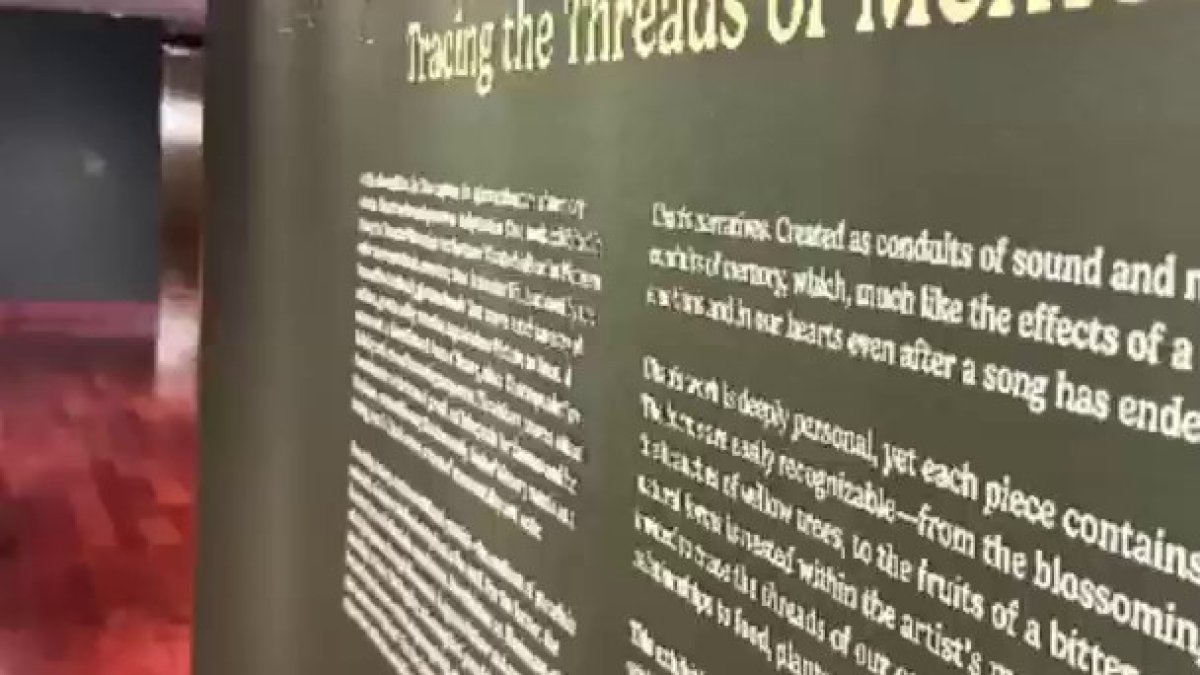 Dallas artist explores memory, hardship in a Crow Museum exhibit
